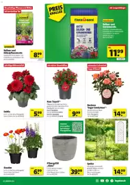 Hagebau Prospekt woche 18 Seite 3