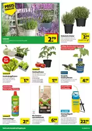 Hagebau Prospekt woche 18 Seite 4