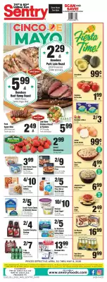 Sentry (valid until 6-05)