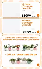 Catalogue Truffaut page 19