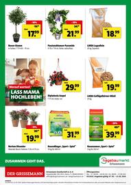 Eurogast Grissemann Flugblatt woche 19 Seite 12