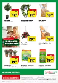 Eurogast Grissemann Flugblatt woche 19 Seite 12