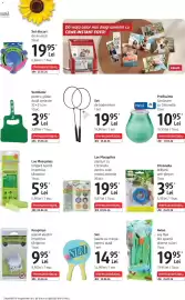Catalog DM Pagină 6