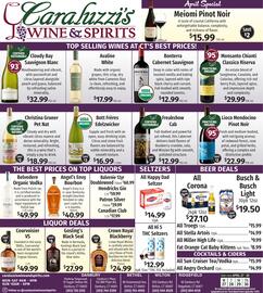 Caraluzzi's flyer Page 8