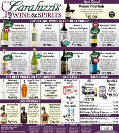 Caraluzzi's flyer Page 8