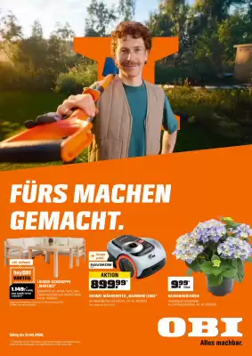 OBI (gültig bis 1-06)