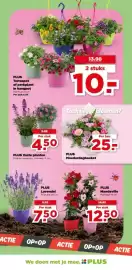 PLUS folder week 19 Pagina 23