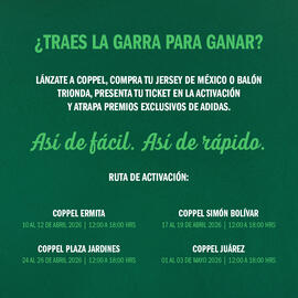 Catálogo Coppel Página 2
