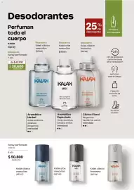 Catálogo Natura Página 127