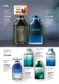 Catálogo Natura Página 45