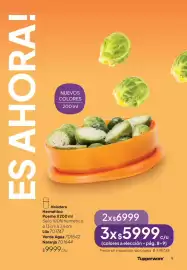 Folleto Tupperware Página 10