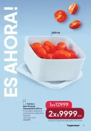 Folleto Tupperware Página 12