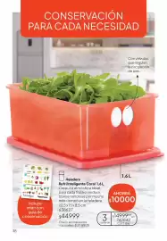 Folleto Tupperware Página 39