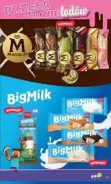 Polomarket gazetka Strona 17