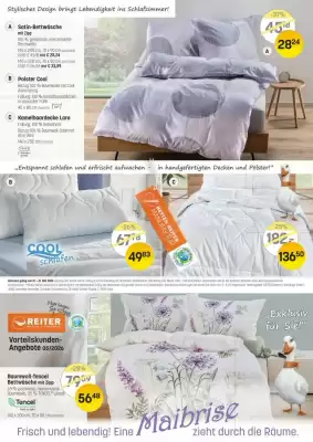 Reiter Flugblatt