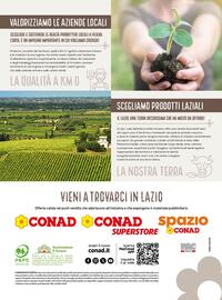 Volantino Conad Pagina 12
