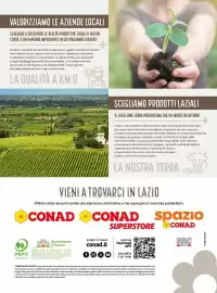 Volantino Conad Pagina 12
