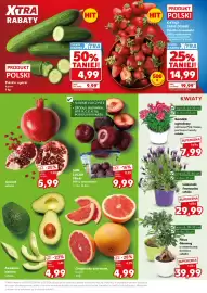 Kaufland gazetka Strona 17