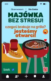 Biedronka gazetka Strona 4