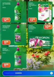 LEO Market gazetka Strona 13