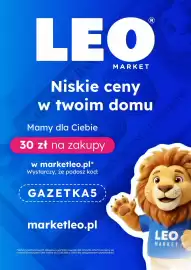 LEO Market gazetka Strona 24