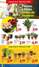 Folheto Lidl semana 19 Página 32