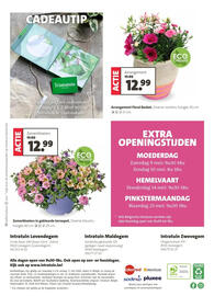 Intratuin folder week 19 Pagina 16