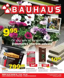 Bauhaus avis uge 18 Side 1