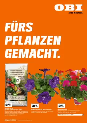 OBI (gültig bis 1-06)