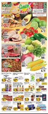 Ideal Food Basket (valid until 7-05)