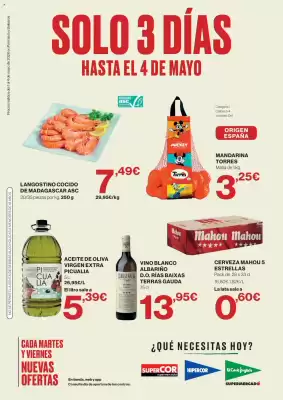 Hipercor (válido hasta el 4-05)
