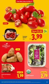 Lidl weekly ad week 19 Page 21