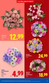 Lidl weekly ad week 19 Page 3