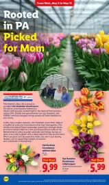 Lidl weekly ad week 19 Page 4