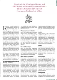 Lagerhaus Flugblatt Seite 15