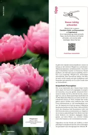 Lagerhaus Flugblatt Seite 16