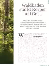 Lagerhaus Flugblatt Seite 37