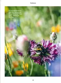 Fressnapf Flugblatt Seite 13