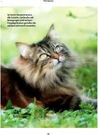 Fressnapf Flugblatt Seite 14
