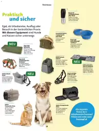 Fressnapf Flugblatt Seite 19