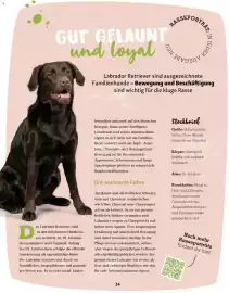 Fressnapf Flugblatt Seite 34