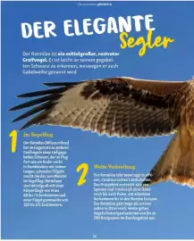 Fressnapf Flugblatt Seite 36