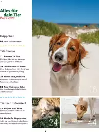 Fressnapf Flugblatt Seite 4
