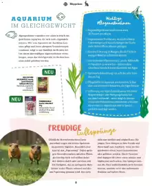 Fressnapf Flugblatt Seite 8