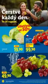 Lidl leták Strana 10