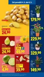 Lidl leták Strana 11