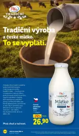 Lidl leták Strana 24