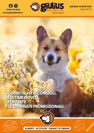 Volantino Giulius Pagina 1