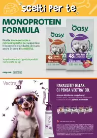 Volantino Giulius Pagina 4