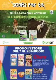 Volantino Giulius Pagina 5